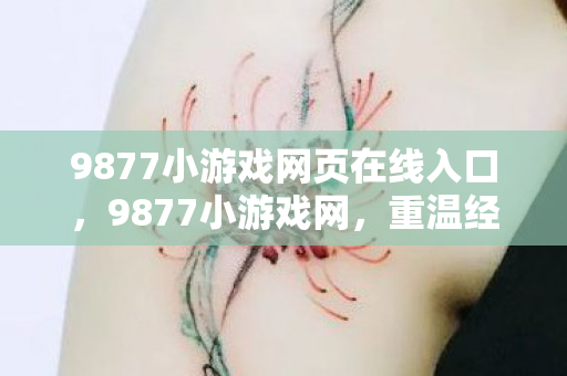 9877小游戏网页在线入口，9877小游戏网，重温经典，乐在其中的游戏天堂