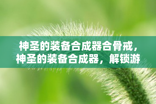 神圣的装备合成器合骨戒,神圣的装备合成器,解锁游戏世界的无限可能 神圣的装备合成器合骨戒,神圣的装备合成器,解锁游戏世界的无限可能