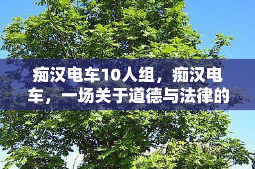 痴汉电车10人组，痴汉电车，一场关于道德与法律的灰色地带探讨