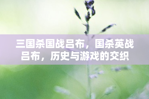 三国杀国战吕布,国杀英战吕布,历史与游戏的交织 三国杀国战吕布,国杀英战吕布,历史与游戏的交织