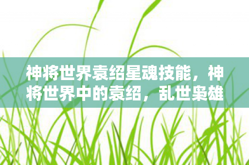 神将世界袁绍星魂技能，神将世界中的袁绍，乱世枭雄的传奇人生