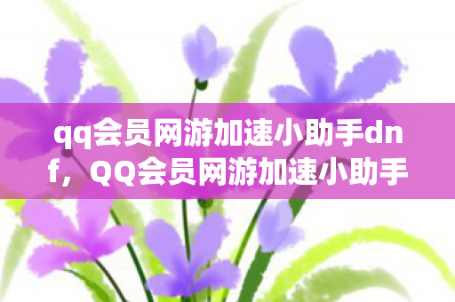 qq会员网游加速小助手dnf，QQ会员网游加速小助手，提升游戏体验的必备神器