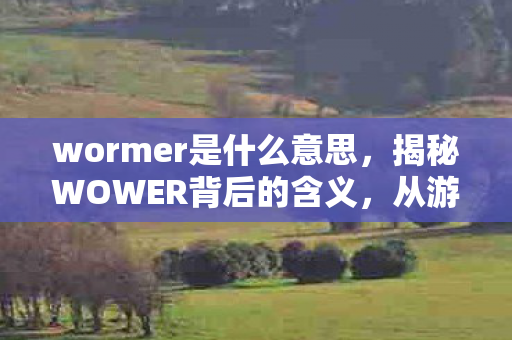 wormer是什么意思，揭秘WOWER背后的含义，从游戏到生活的多彩解读