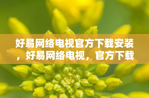 好易网络电视官方下载安装，好易网络电视，官方下载指南与用户体验分享