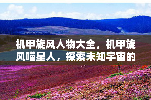 机甲旋风人物大全，机甲旋风喵星人，探索未知宇宙的萌系英雄