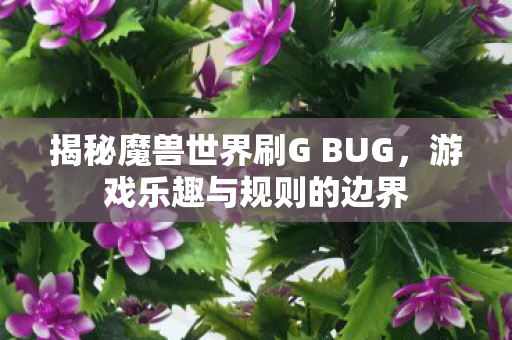 揭秘魔兽世界刷G BUG，游戏乐趣与规则的边界