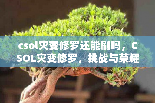 csol灾变修罗还能刷吗，CSOL灾变修罗，挑战与荣耀的交织