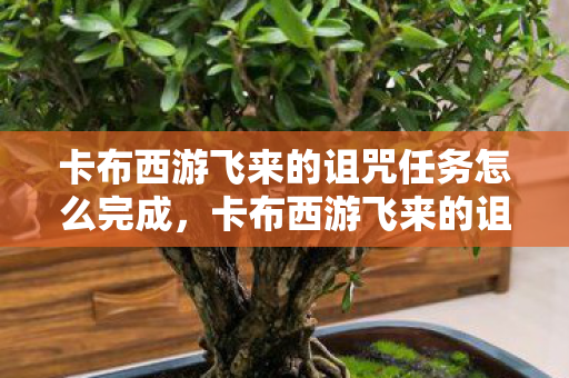 卡布西游飞来的诅咒任务怎么完成，卡布西游飞来的诅咒