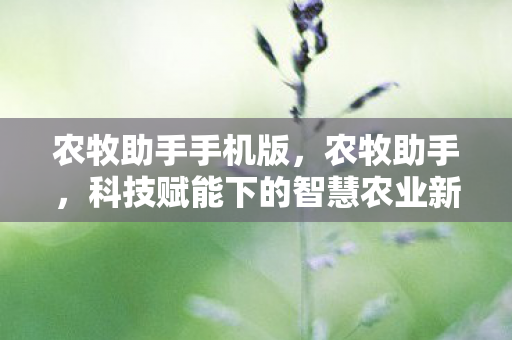 农牧助手手机版，农牧助手，科技赋能下的智慧农业新篇章