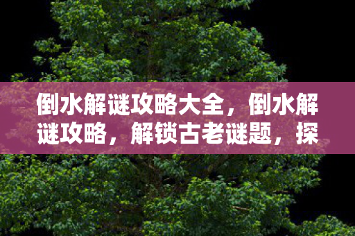 倒水解谜攻略大全，倒水解谜攻略，解锁古老谜题，探寻未知世界