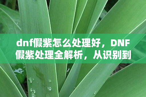 dnf假紫怎么处理好,DNF假紫处理全解析,从识别到应对的全方位指南 dnf假紫怎么处理好,DNF假紫处理全解析,从识别到应对的全方位指南