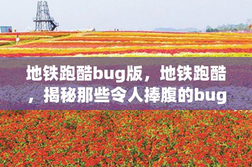 地铁跑酷bug版，地铁跑酷，揭秘那些令人捧腹的bug