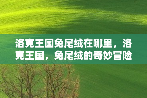 洛克王国兔尾绒在哪里，洛克王国，兔尾绒的奇妙冒险