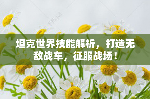 坦克世界技能解析,打造无敌战车,征服战场! 坦克世界技能解析,打造无敌战车,征服战场!