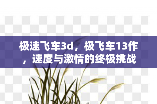 极速飞车3d，极飞车13作，速度与激情的终极挑战