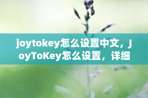 joytokey怎么设置中文，JoyToKey怎么设置，详细教程与步骤
