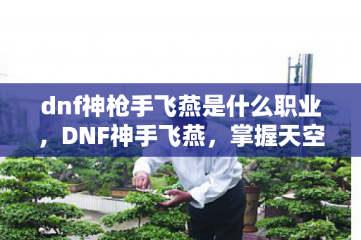 dnf神枪手飞燕是什么职业，DNF神手飞燕，掌握天空之城的技巧与奥秘