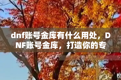 dnf账号金库有什么用处,DNF账号金库,打造你的专属宝藏库 dnf账号金库有什么用处,DNF账号金库,打造你的专属宝藏库