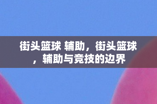 街头篮球 辅助，街头篮球，辅助与竞技的边界