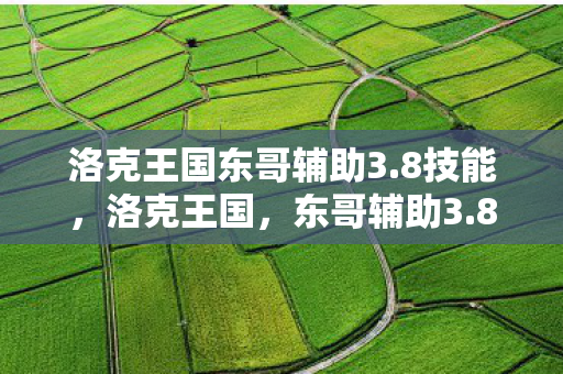 洛克王国东哥辅助3.8技能，洛克王国，东哥辅助3.8的神奇之旅