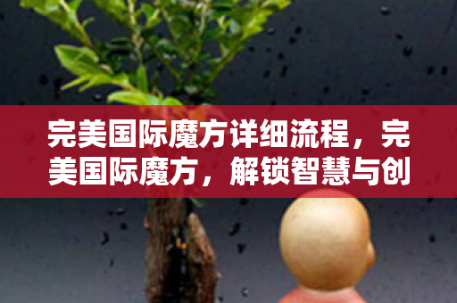 完美国际魔方详细流程,完美国际魔方,解锁智慧与创造力的神秘钥匙 完美国际魔方详细流程,完美国际魔方,解锁智慧与创造力的神秘钥匙