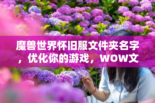 魔兽世界怀旧服文件夹名字，优化你的游戏，WOW文件夹瘦身指南
