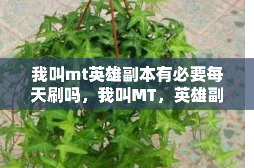 我叫mt英雄副本有必要每天刷吗，我叫MT，英雄副本的冒险之旅