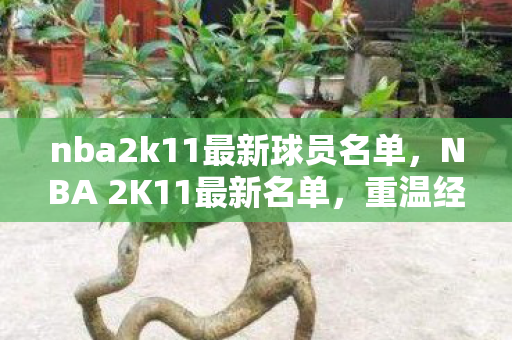 nba2k11最新球员名单,NBA 2K11最新名单,重温经典,再现辉煌 nba2k11最新球员名单,NBA 2K11最新名单,重温经典,再现辉煌