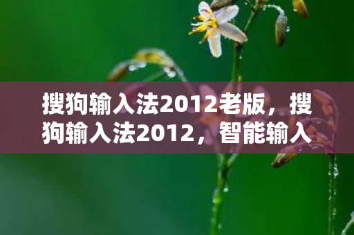 搜狗输入法2012老版，搜狗输入法2012，智能输入的新篇章