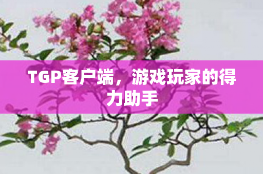 TGP客户端，游戏玩家的得力助手