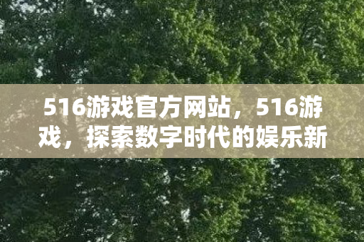 516游戏官方网站，516游戏，探索数字时代的娱乐新境界