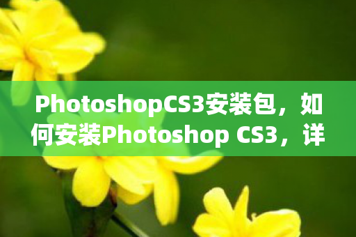 PhotoshopCS3安装包，如何安装Photoshop CS3，详细步骤与注意事项