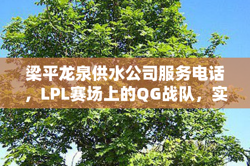 梁平龙泉供水公司服务电话，LPL赛场上的QG战队，实力与战术分析