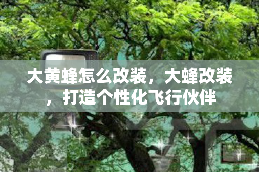 大黄蜂怎么改装，大蜂改装，打造个性化飞行伙伴
