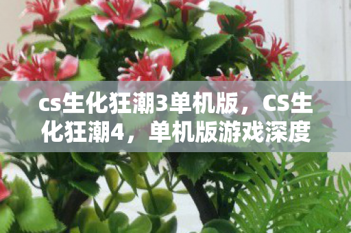 cs生化狂潮3单机版，CS生化狂潮4，单机版游戏深度解析