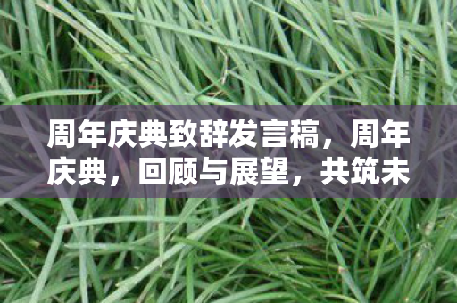 周年庆典致辞发言稿，周年庆典，回顾与展望，共筑未来