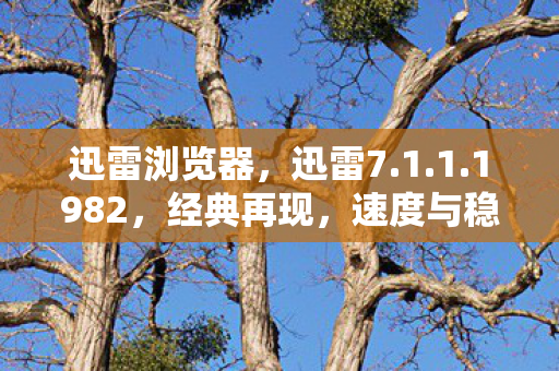 迅雷浏览器，迅雷7.1.1.1982，经典再现，速度与稳定的完美结合