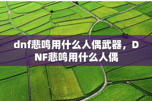 dnf悲鸣用什么人偶武器，DNF悲鸣用什么人偶