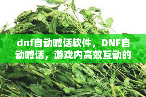 dnf自动喊话软件，DNF自动喊话，游戏内高效互动的新趋势