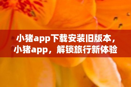 小猪app下载安装旧版本，小猪app，解锁旅行新体验