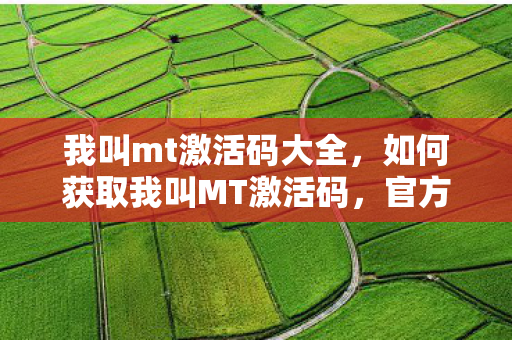 我叫mt激活码大全，如何获取我叫MT激活码，官方渠道与注意事项