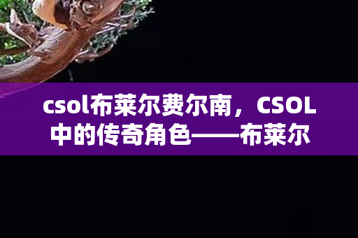 csol布莱尔费尔南，CSOL中的传奇角色——布莱尔