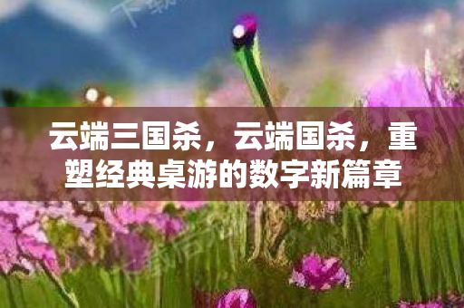 云端三国杀，云端国杀，重塑经典桌游的数字新篇章