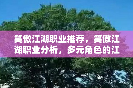 笑傲江湖职业推荐，笑傲江湖职业分析，多元角色的江湖风采