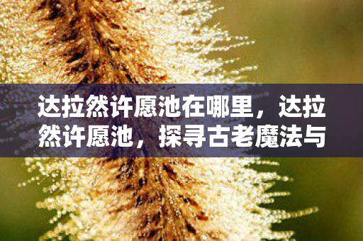 达拉然许愿池在哪里，达拉然许愿池，探寻古老魔法与奇迹的源泉