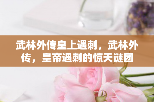 武林外传皇上遇刺，武林外传，皇帝遇刺的惊天谜团