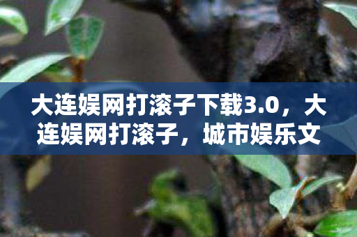 大连娱网打滚子下载3.0,大连娱网打滚子,城市娱乐文化的独特魅力 大连娱网打滚子下载3.0,大连娱网打滚子,城市娱乐文化的独特魅力