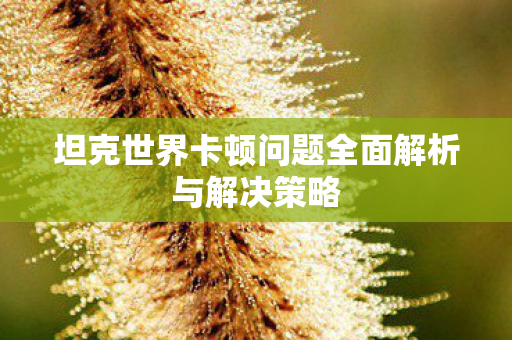 坦克世界卡顿问题全面解析与解决策略 坦克世界卡顿问题全面解析与解决策略