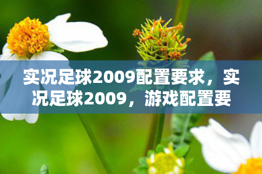 实况足球2009配置要求，实况足球2009，游戏配置要求详解