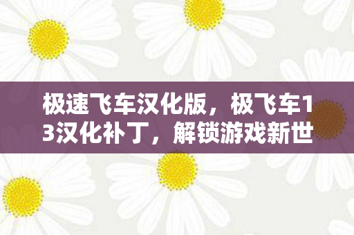 极速飞车汉化版，极飞车13汉化补丁，解锁游戏新世界的钥匙